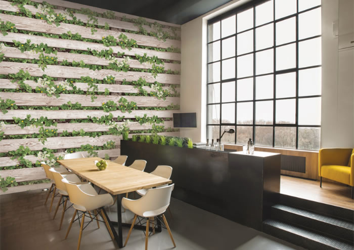 Giấy dán tường 3D Hàn Quốc, Nhật Bản