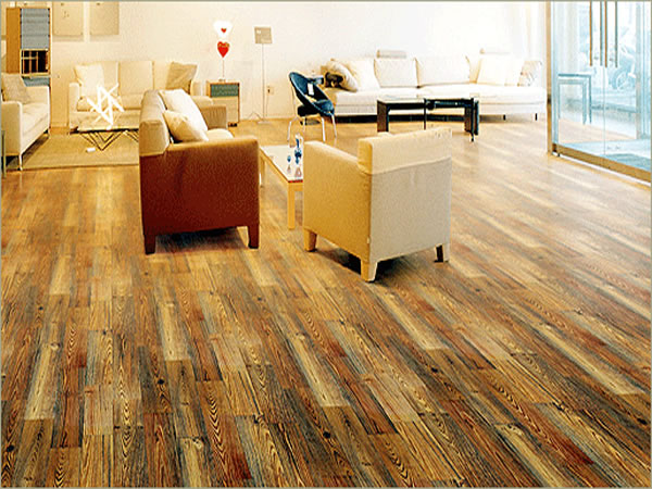 Ph&acirc;n phối v&agrave; thi c&ocirc;ng s&agrave;n nhựa